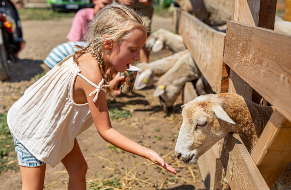 Neue Saison, neue Highlights: Die Family City öffnet wieder