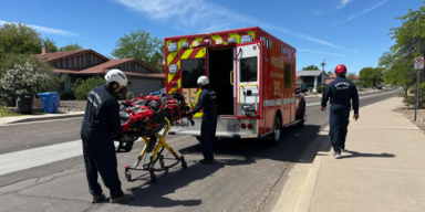 &Uuml;ber 100 Stiche! Schwarm greift Wanderer an