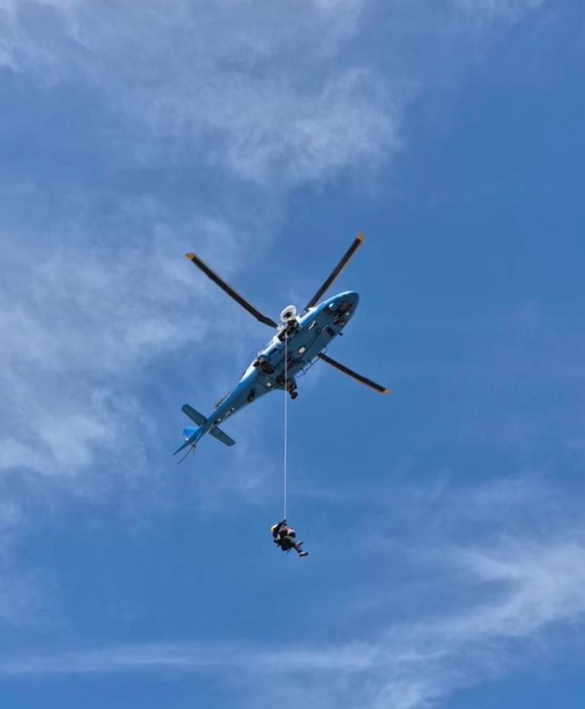 Über 100 Stiche! Schwarm greift Wanderer an