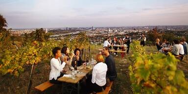 Vienna Wine Hike