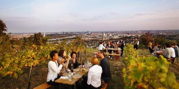 Vienna Wine Hike: Studierende laden zu Weinberg-Tour