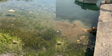 Ekel-Wasser in Urlaubsregion schockt Touristen