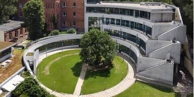 Container im  Garten unerw&uuml;nscht