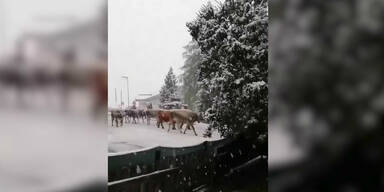 Screenshot Schnee.jpg