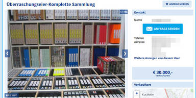 &Uuml;berschaschungs-Ei-Sammlung zu Verkauf