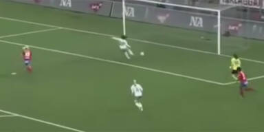 Irre! Das d&uuml;mmste Eigentor der Welt