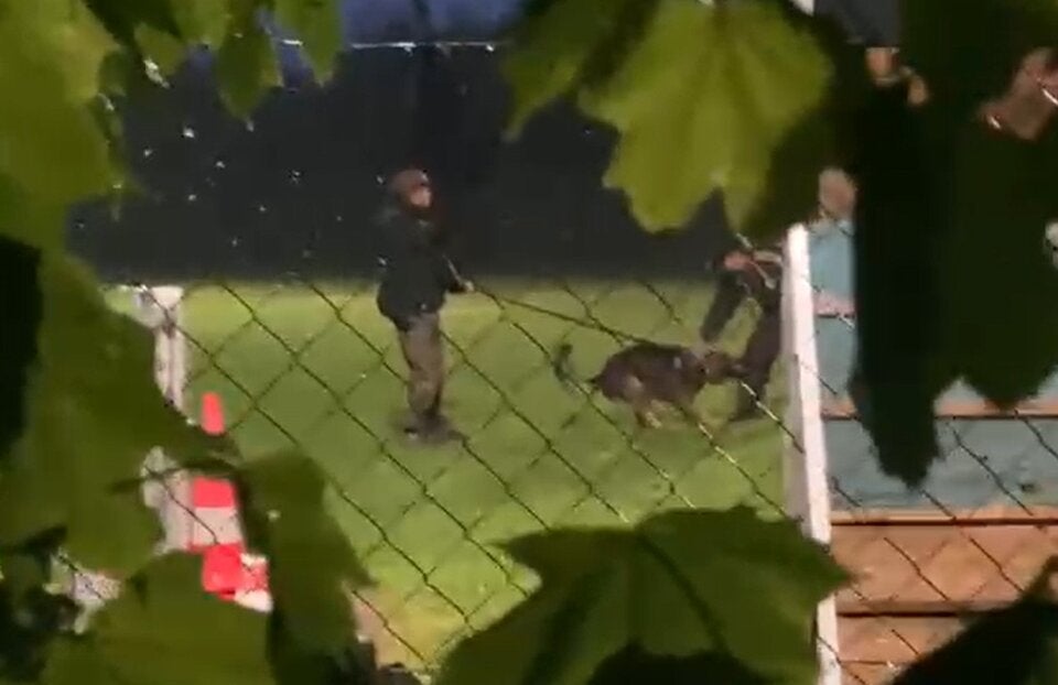 Ein scharfgemachter Hund verbeißt sich in einen Menschen.