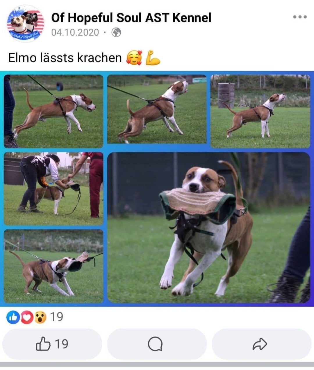 Elmo