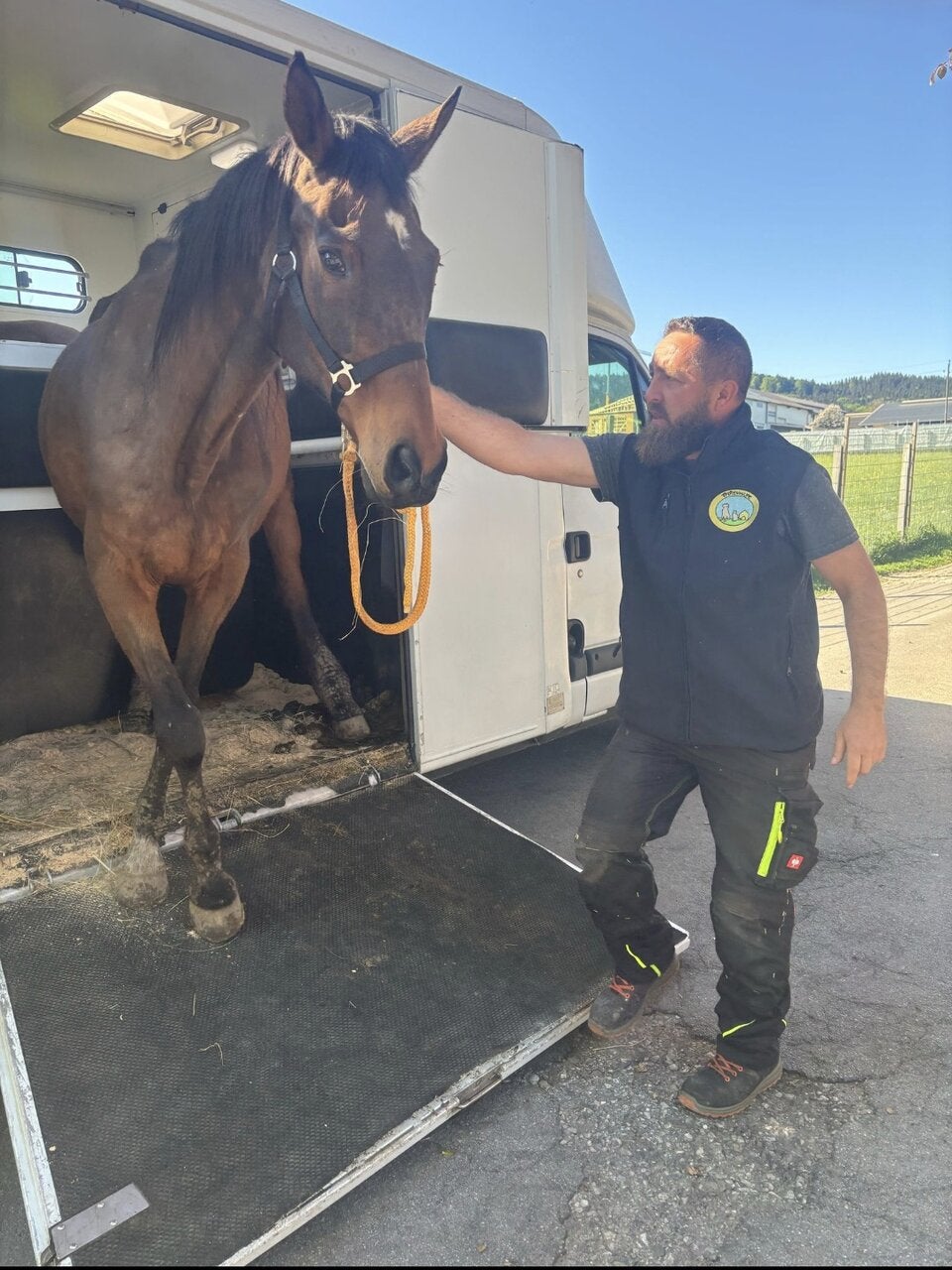 40ß Pferde beschlagnahmt
