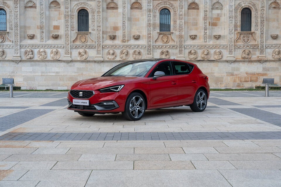 Kompakter Spanier, anfang rundlich, längst eckig. 