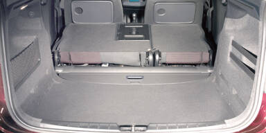 Kompaktvan im Großformat