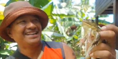 Sechsbeiniger Frosch