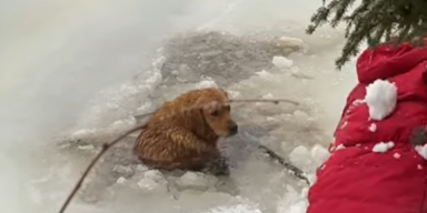 ponchodeandatv/instagram