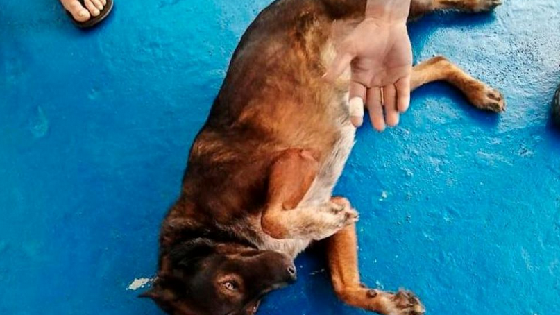 The Associated Press