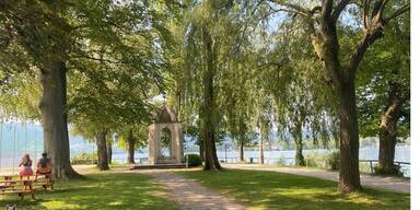 F&uuml;r Luxuswohnungen: 30 B&auml;ume m&uuml;ssen weg