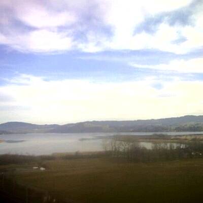 So grün ist derzeit Österreich