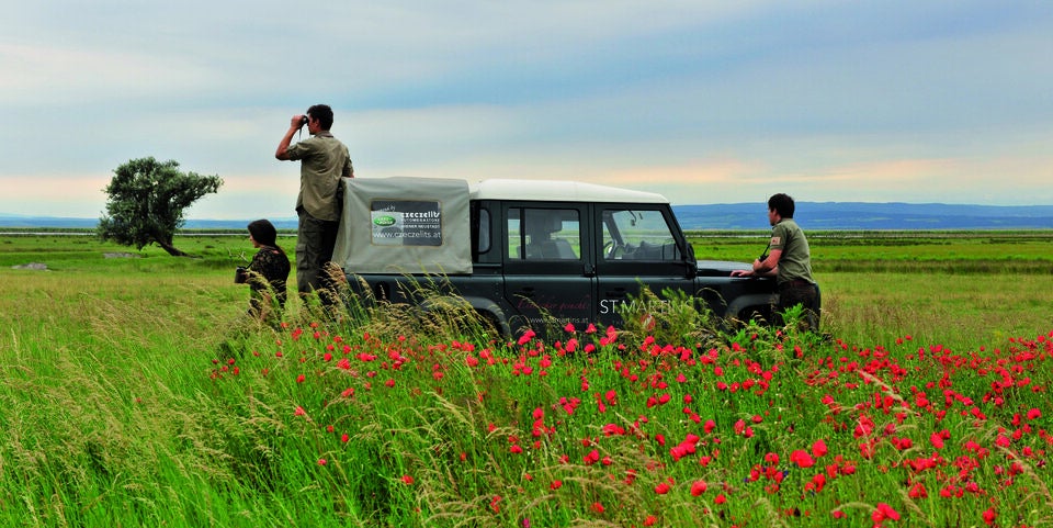 Burgenland: Top Oasen im Frühling