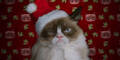 Grumpy Cat scheffelt Kohle!