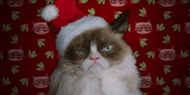 Grumpy Cat scheffelt Kohle!