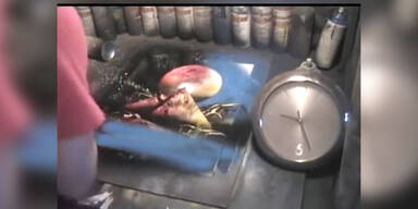 Rekord Sprayer schafft Meisterwerk