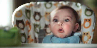 Lustige Pups-Gesichter