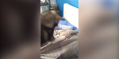 Fiese Aufweckmethode f&uuml;r Langschl&auml;fer