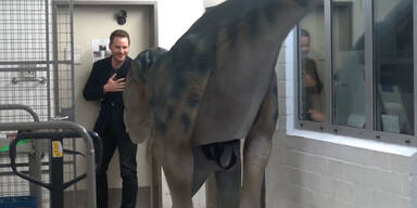 Dinosaurier greifen Chris Pratt im realen Leben an