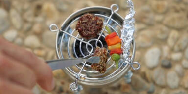Hamster Barbecue