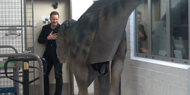 Kopie von Sendung.Standbild006.jpg