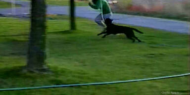 Hund macht Herrchen nass