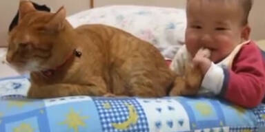 Katze erduldet Baby-Terror!