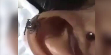 Sequenz 01.Standbild001.jpg