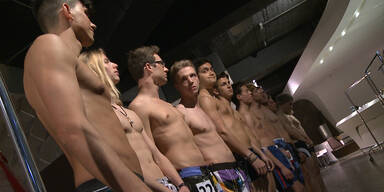 Countdown zum MADONNA Modelcontest