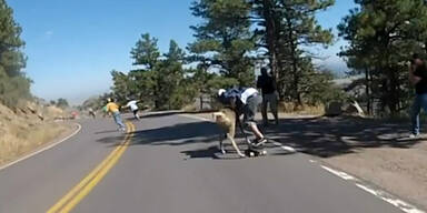 Downhill-Rennen: Reh rast in Skateboarder