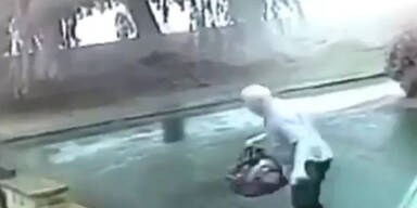 Mann fast von Baum erschlagen