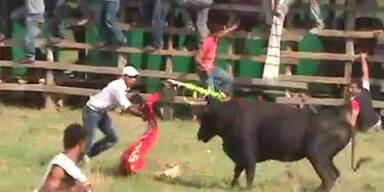 19 Verletzte bei Amateur-Stierkampf