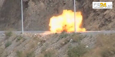 Maultier hatte Plastik- Sprengstoff am R&uuml;cken