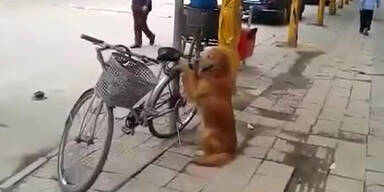 Das ist das beste Veloschloss der Welt