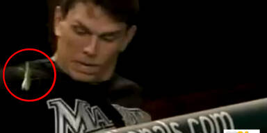 Gottesanbeterin attackiert Baseballteam