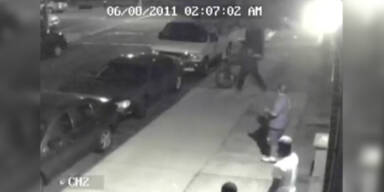 Dumme Fahrraddiebe hacken Baum um