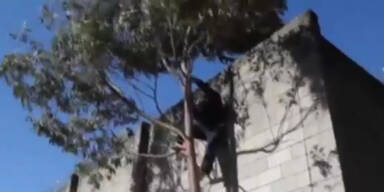 S&atilde;o Paulo: Video zeigt Gef&auml;ngnis-Ausbruch