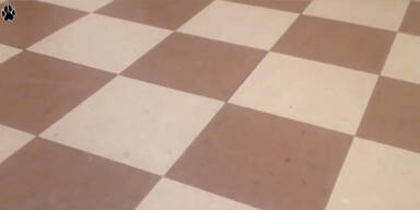 Sequenz 05.Standbild001.jpg