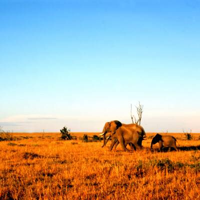 Die schönsten Naturwunder