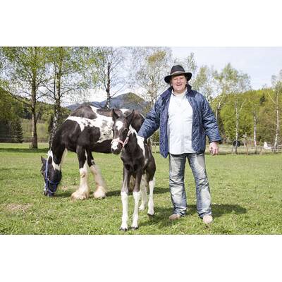 Diese Bauern suchen ihre große Liebe