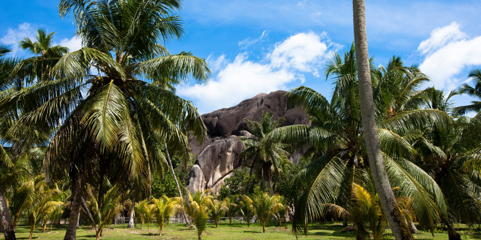 Die ultimative To-Do-Liste für die Seychellen