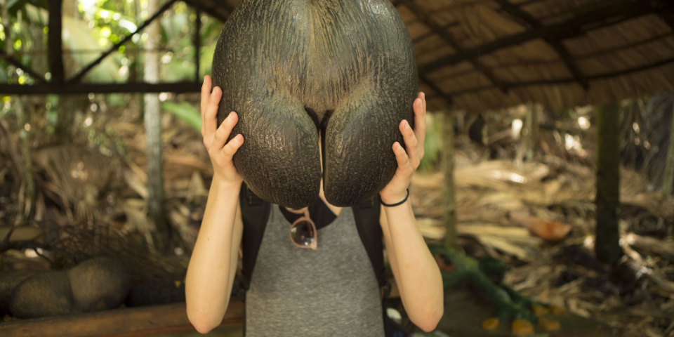 Die ultimative To-Do-Liste für die Seychellen