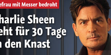 Charlie Sheen: 30 Tage Gefängnis