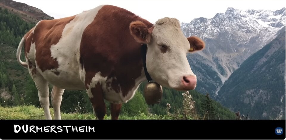 Ed Sheeran lässt coole Austro-Senioren im Video antanzen