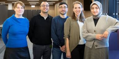 ISTA-Forscher stellen Mini-Gehirne im Labor her