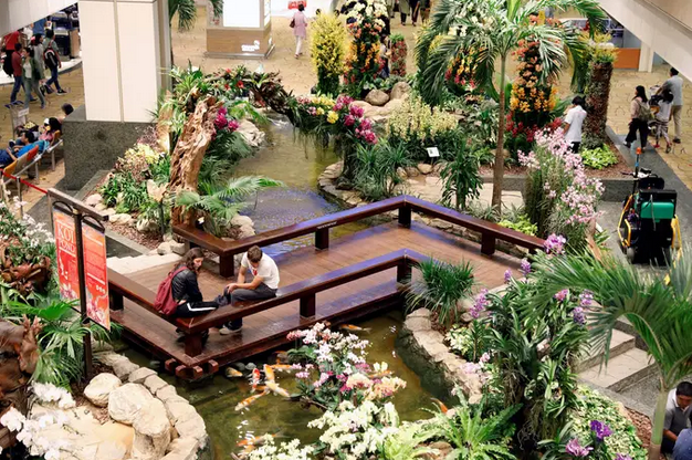 Courtesy of Changi International Airport